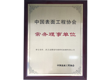 中国表面工程协会常务理事单位