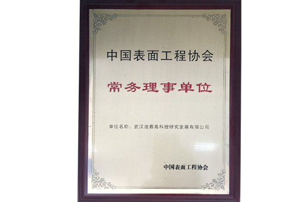 中国表面工程协会常务理事单位